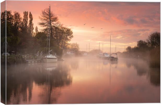 Sunrise on the River Frome Canvas Print by David Semmens