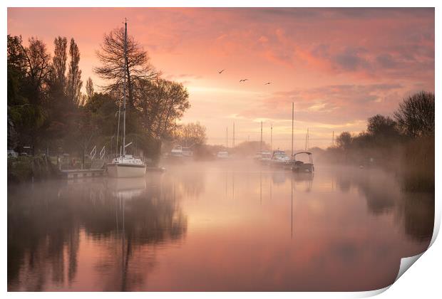 Sunrise on the River Frome Print by David Semmens