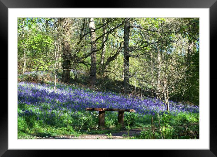 Woolley Wood Bluebell Seat Framed Mounted Print by Alison Chambers