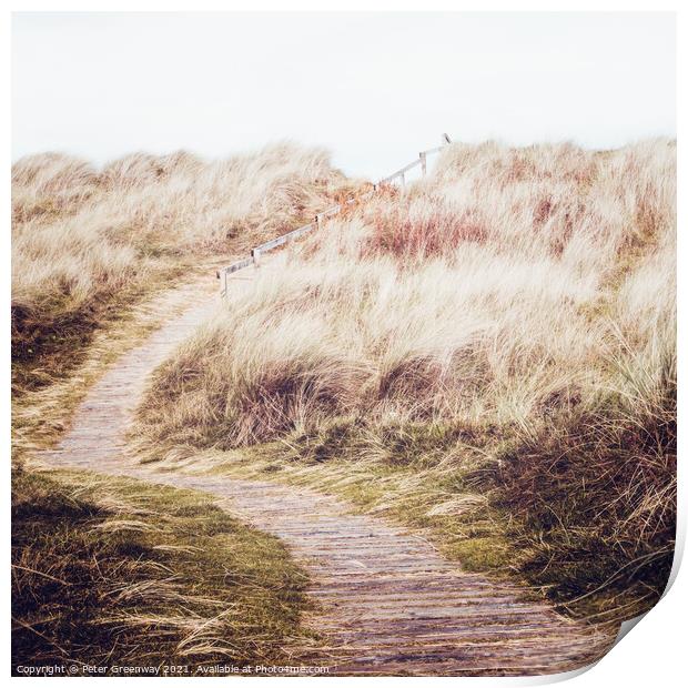 Winding Path To Findhorn Beach, Scottish Highlands Print by Peter Greenway