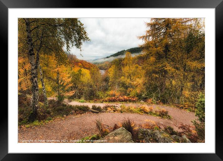 Mist Covered Woodland Aroudn Rogie Falls, The Scottish Highlands Framed Mounted Print by Peter Greenway