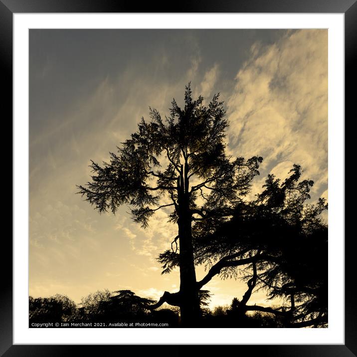 Sunset Silhouette Framed Mounted Print by Iain Merchant