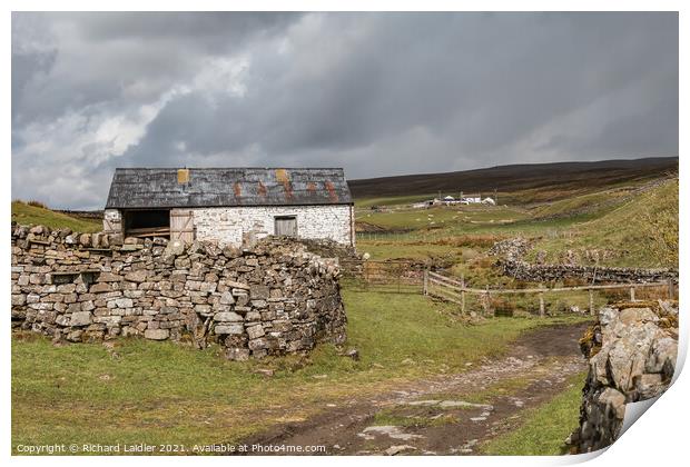 High Beck Head Farm, Ettersgill, Teesdale Print by Richard Laidler