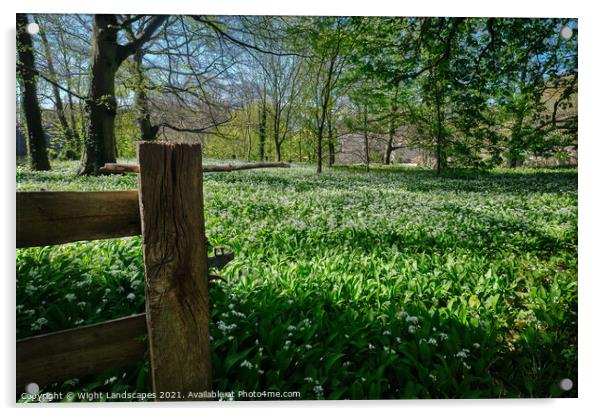 Wild Garlic Isle Of Wight Acrylic by Wight Landscapes