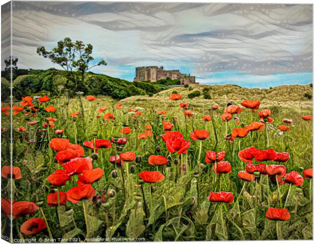 Bamburgh Poppies Canvas Print by Brian Tarr