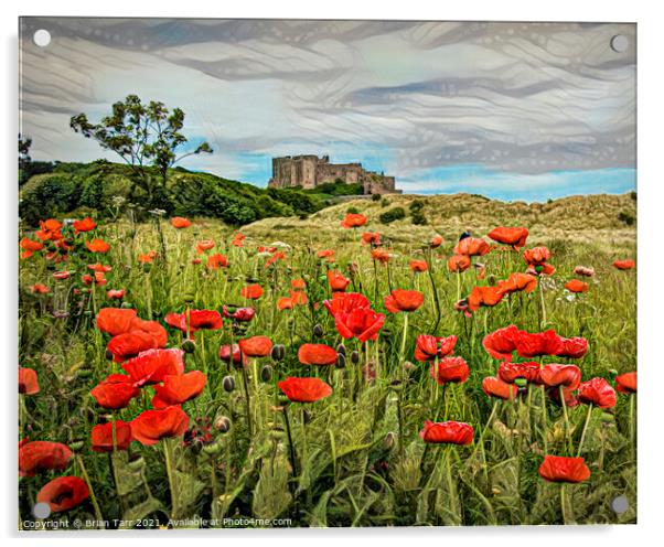 Bamburgh Poppies Acrylic by Brian Tarr