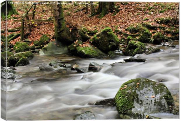 Stock Ghyll, Ambleside Canvas Print by Catherine Fowler