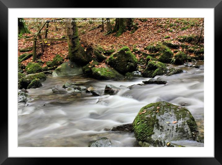 Stock Ghyll, Ambleside Framed Mounted Print by Catherine Fowler