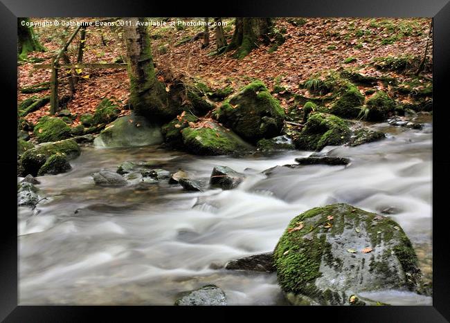Stock Ghyll, Ambleside Framed Print by Catherine Fowler