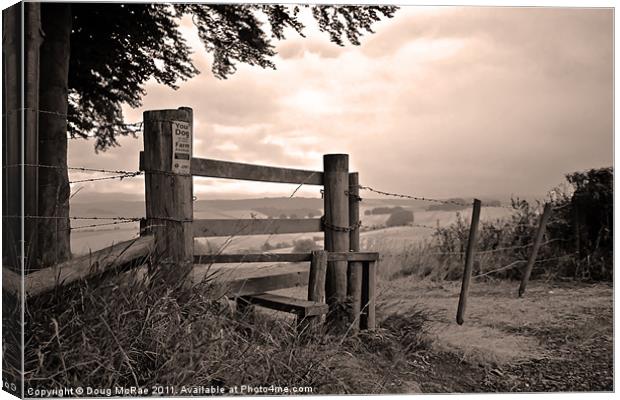 Stile Canvas Print by Doug McRae