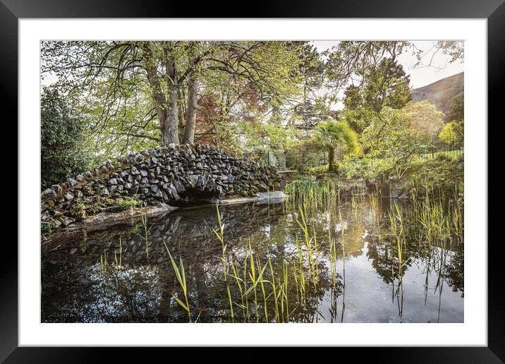 The Pond Framed Mounted Print by Paul Harwood-Browne