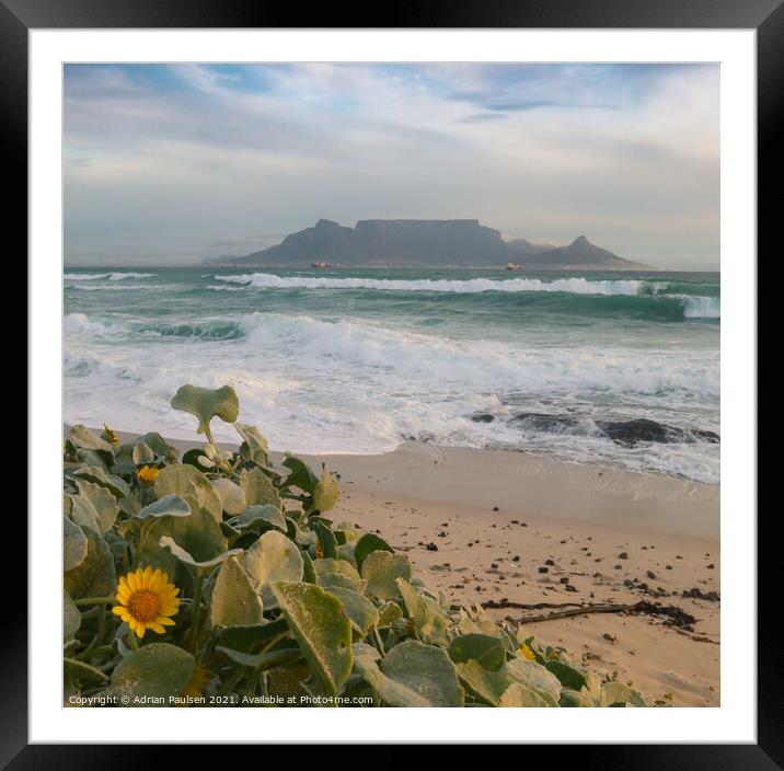 View of Table Mountain  Framed Mounted Print by Adrian Paulsen
