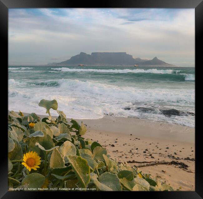 View of Table Mountain  Framed Print by Adrian Paulsen