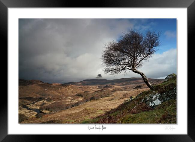 Lone birch tree Scottish Highlands Framed Print by JC studios LRPS ARPS