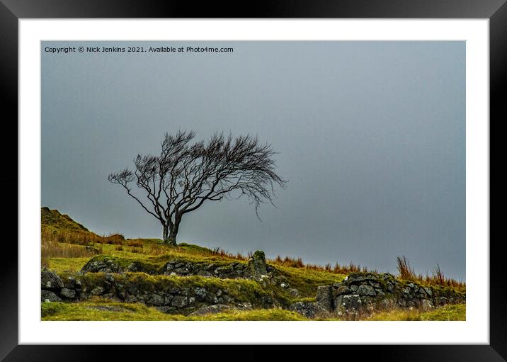 Solitary Tree at Whiteworks Village on Dartmoor Framed Mounted Print by Nick Jenkins
