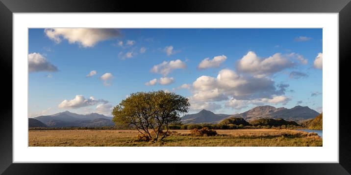 From Yr Wyddfa to Moelwyn Bach Panoramic Framed Mounted Print by Rory Trappe