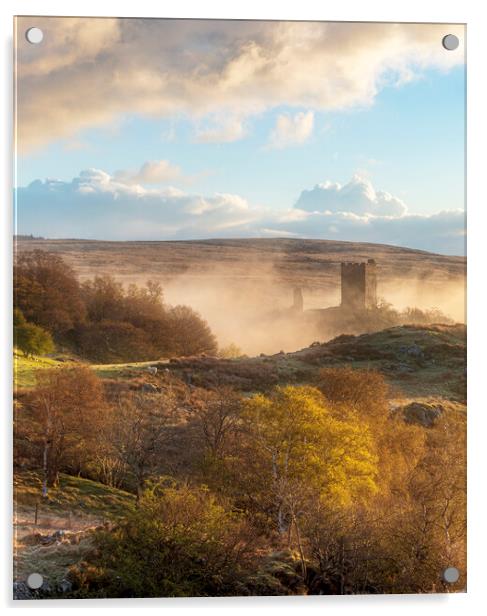 Dolwyddelan castle Acrylic by Rory Trappe