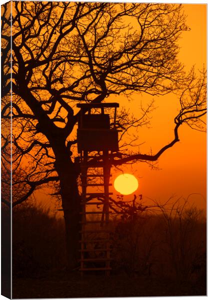 Hunting Stand at Sunset Canvas Print by Arterra 