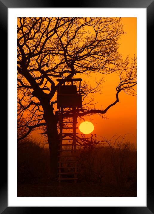 Hunting Stand at Sunset Framed Mounted Print by Arterra 