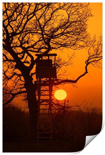 Hunting Stand at Sunset Print by Arterra 