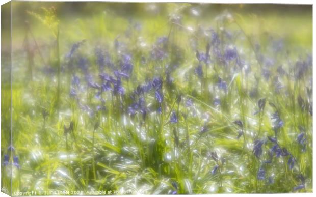 Sparkling Bluebells and Fairies Canvas Print by JUDI LION