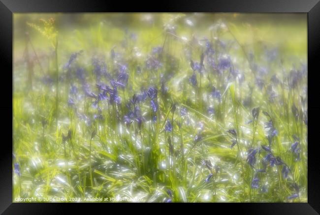 Sparkling Bluebells and Fairies Framed Print by JUDI LION