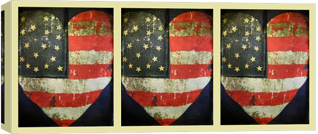 vintage American hearts triptych Canvas Print by Heather Newton