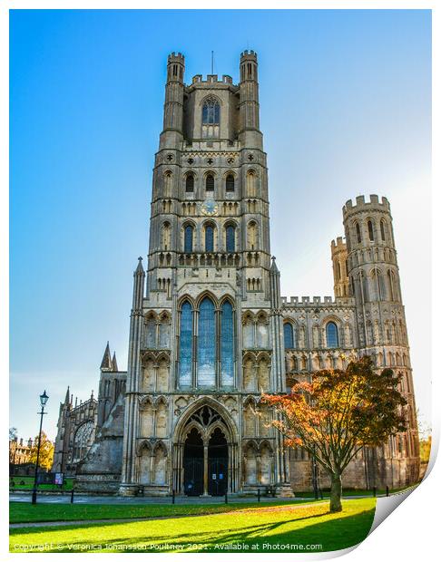 Ely Cathedral Print by Veronica in the Fens