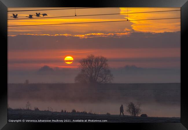 Sunrise in the Fens Framed Print by Veronica in the Fens