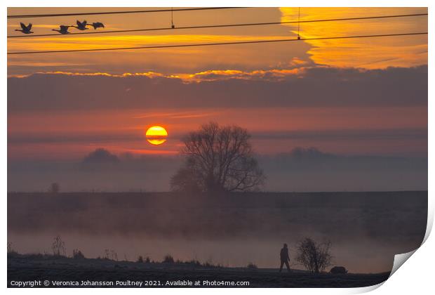 Sunrise in the Fens Print by Veronica in the Fens