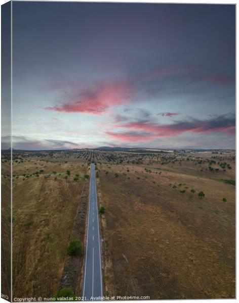 Aerial view of a country road in spring at the sunset Canvas Print by nuno valadas