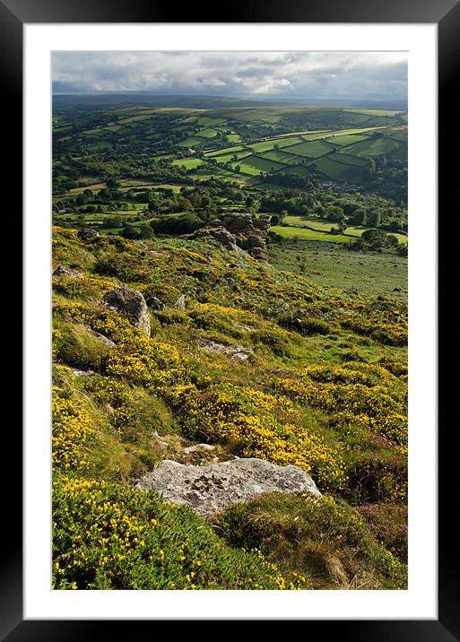 Gorse, Tors and Fields Framed Mounted Print by Pete Hemington