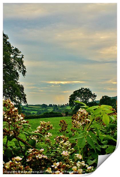 English summer Print by Sean Wareing