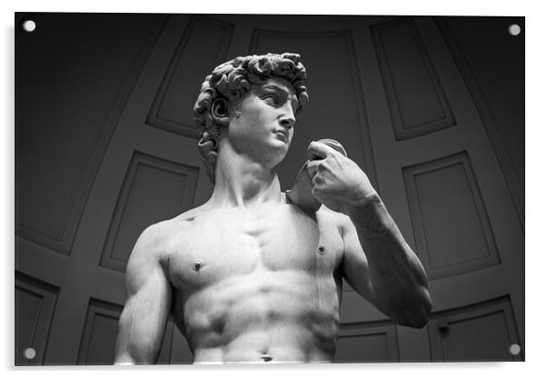 David by Michelangelo Acrylic by Alan Le Bon