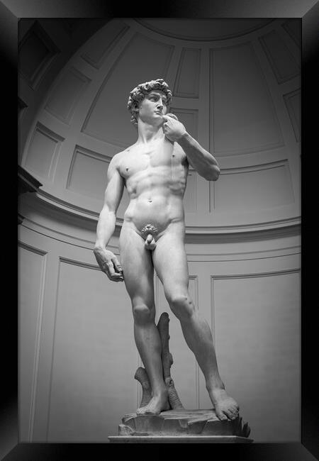 David by Michelangelo Framed Print by Alan Le Bon