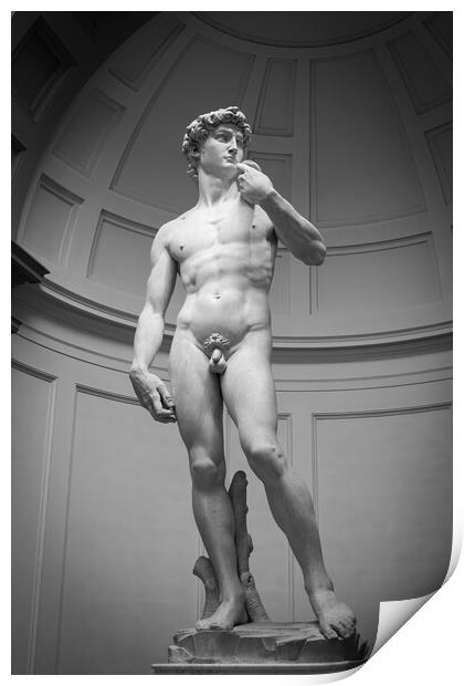 David by Michelangelo Print by Alan Le Bon