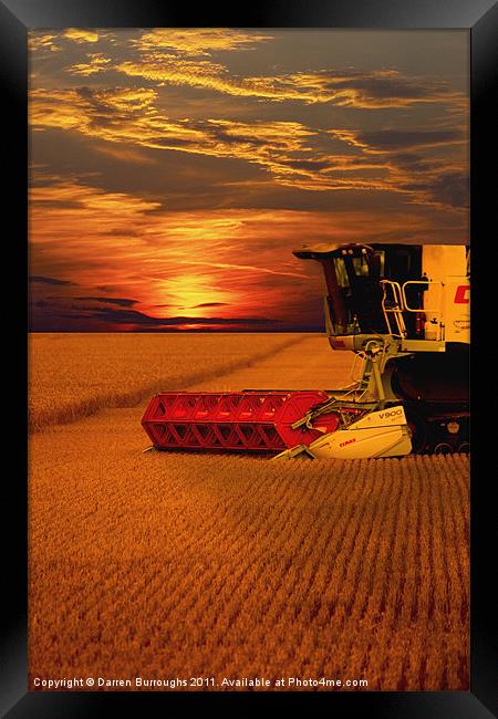 Harvest Summer Sunset Framed Print by Darren Burroughs