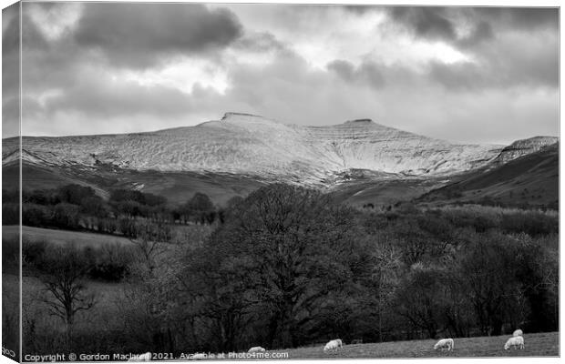 Snow on Pen y Fan, Brecon Beacons Monochrome Canvas Print by Gordon Maclaren