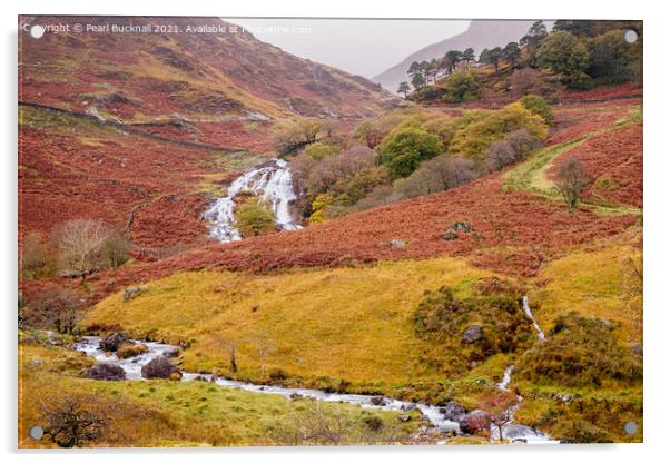 Watkin Path Route to Snowdon in Autumn Acrylic by Pearl Bucknall