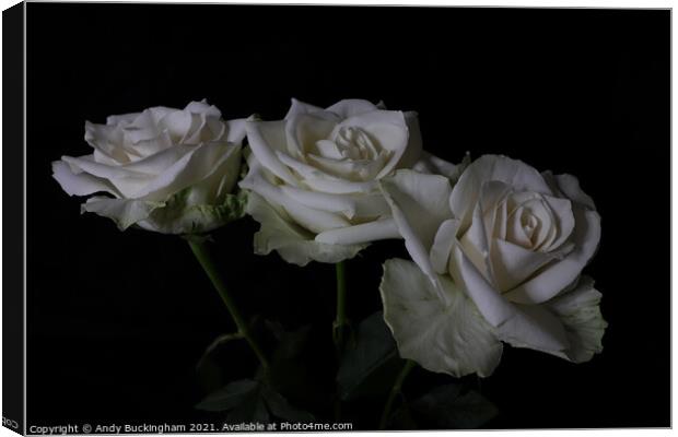 White Roses Canvas Print by Andy Buckingham