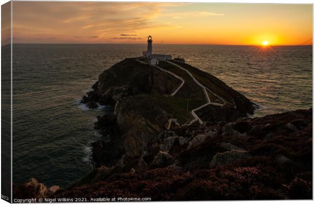 South Stack Sunset Canvas Print by Nigel Wilkins