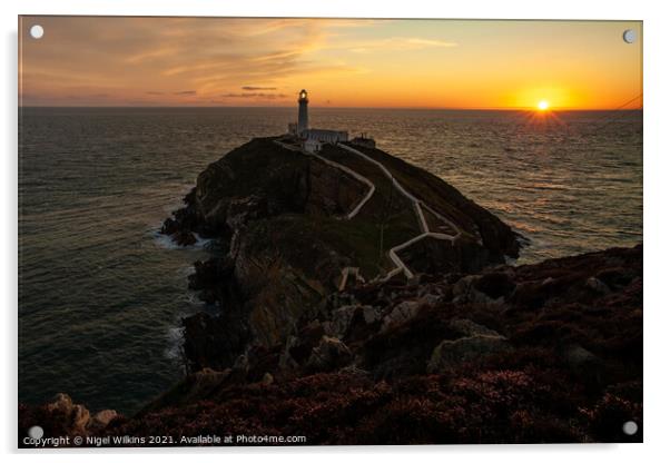 South Stack Sunset Acrylic by Nigel Wilkins