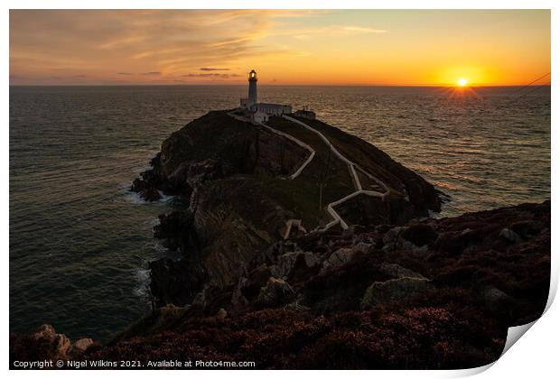 South Stack Sunset Print by Nigel Wilkins