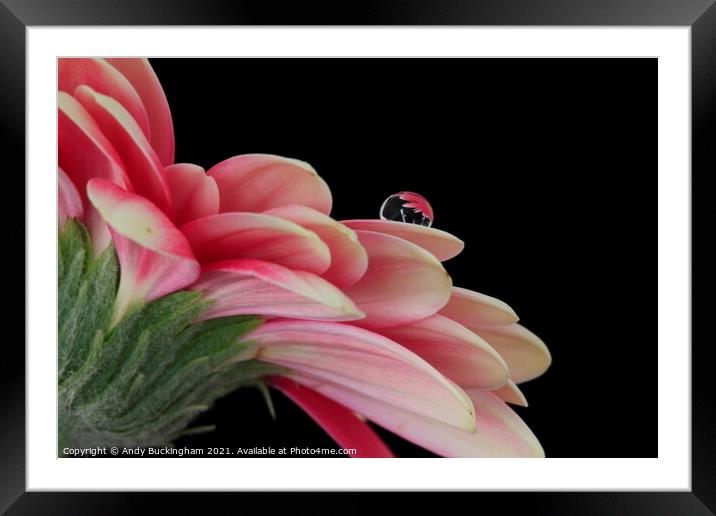 Water droplet Framed Mounted Print by Andy Buckingham