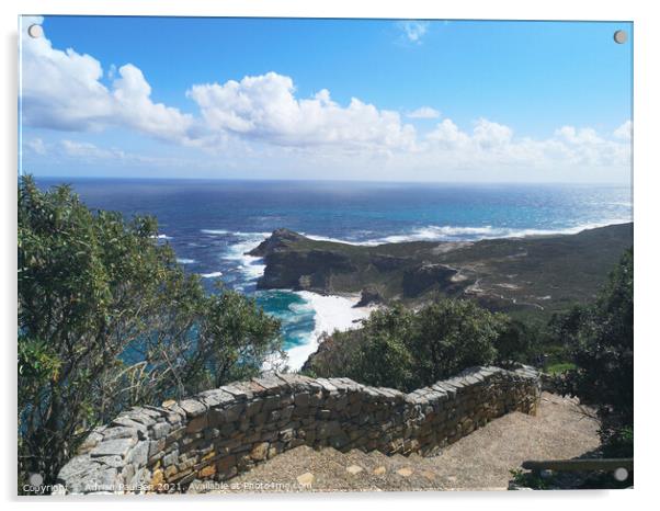 Cape Point  Acrylic by Adrian Paulsen