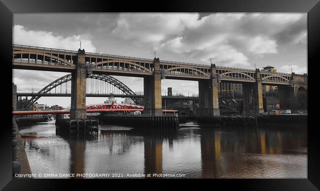 Bridges across the River Tyne Framed Print by EMMA DANCE PHOTOGRAPHY
