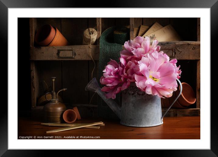 Tulips in the Potting Shed Framed Mounted Print by Ann Garrett