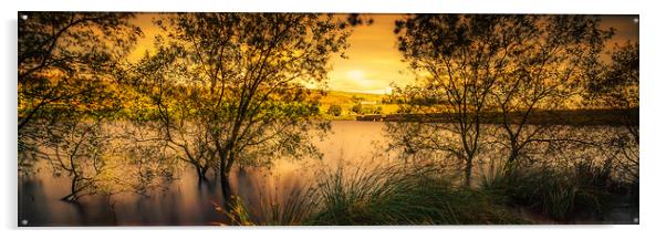 BE0015P - Baitings Reservoir - Panorama Acrylic by Robin Cunningham