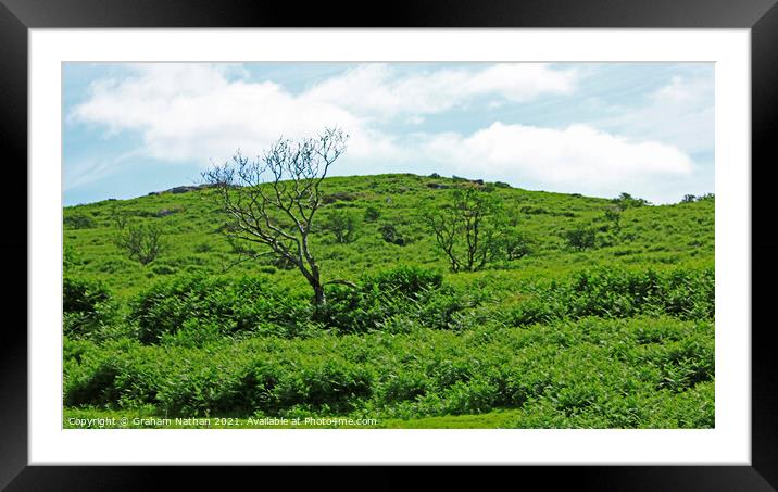 Majestic Down Tor Dartmoor Framed Mounted Print by Graham Nathan