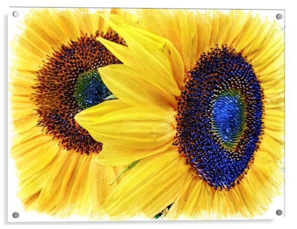 Vibrant Sunflower Duo Acrylic by Deanne Flouton